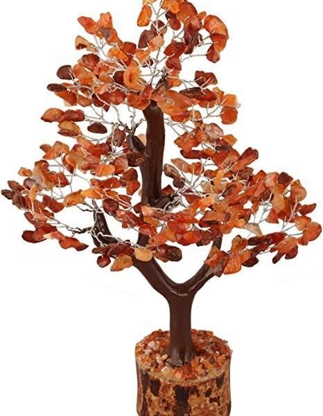 RED CARNELIAN TREE